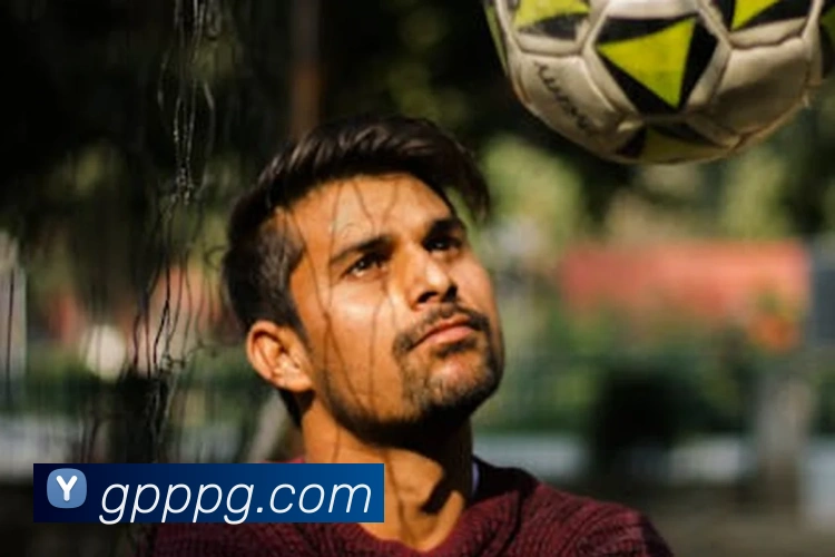 pg官网平台生态图